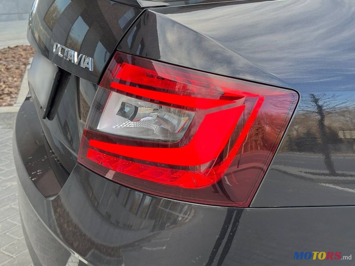 2018' Skoda Octavia photo #5