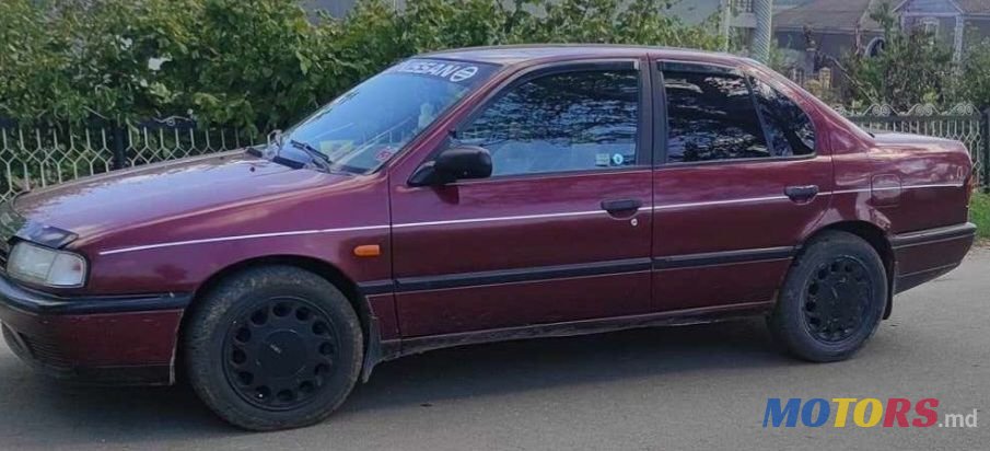 1996' Nissan Primera photo #5