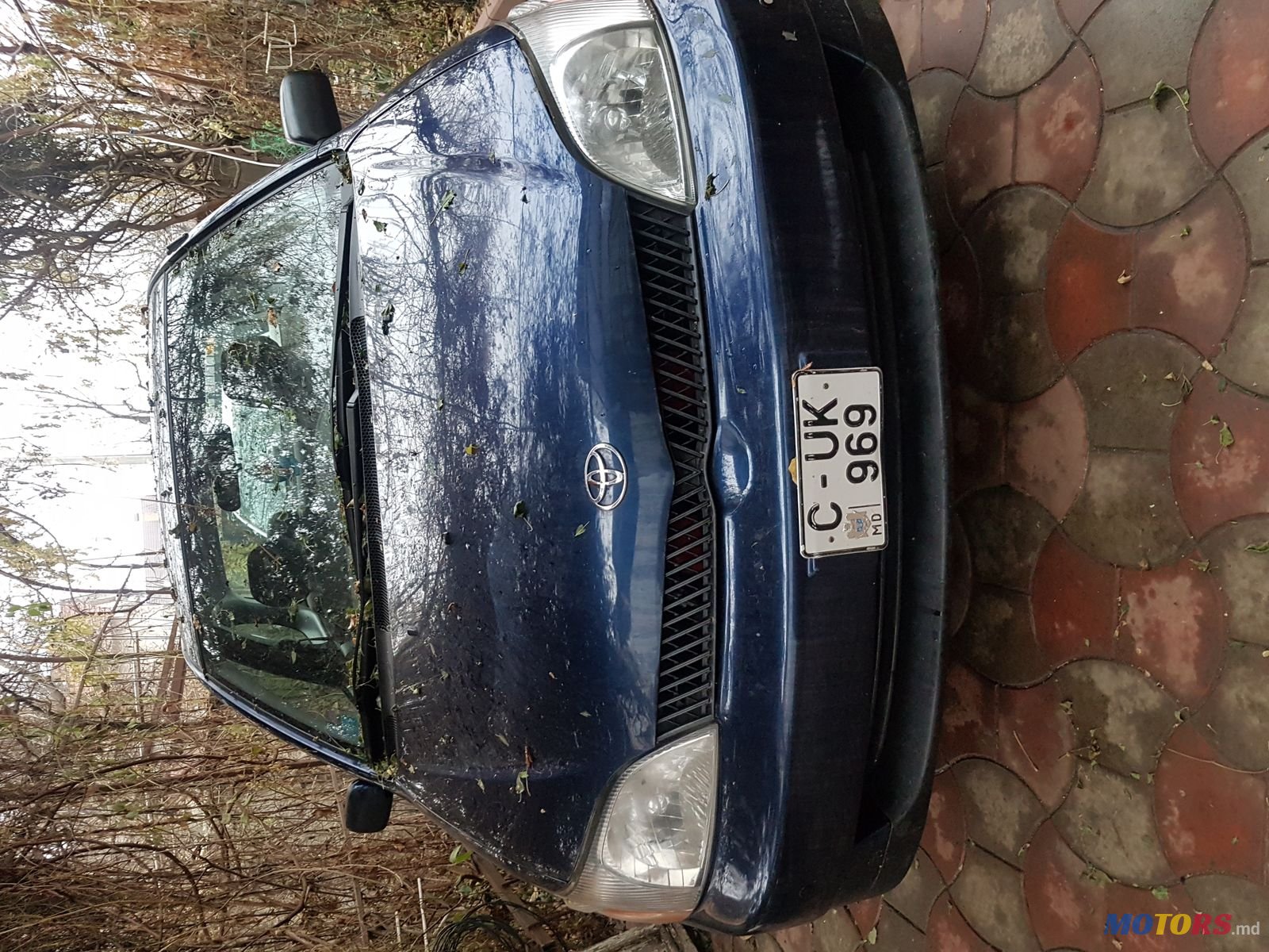 2002' Toyota Echo photo #1