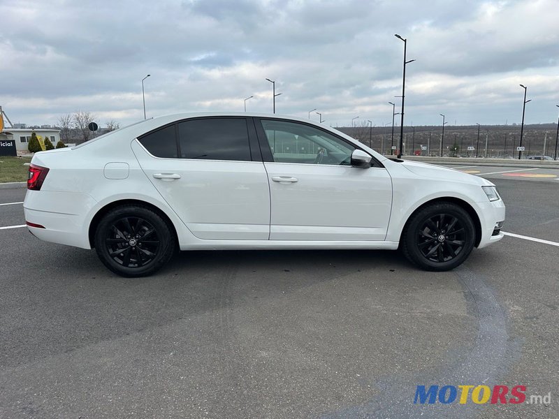 2019' Skoda Octavia photo #4