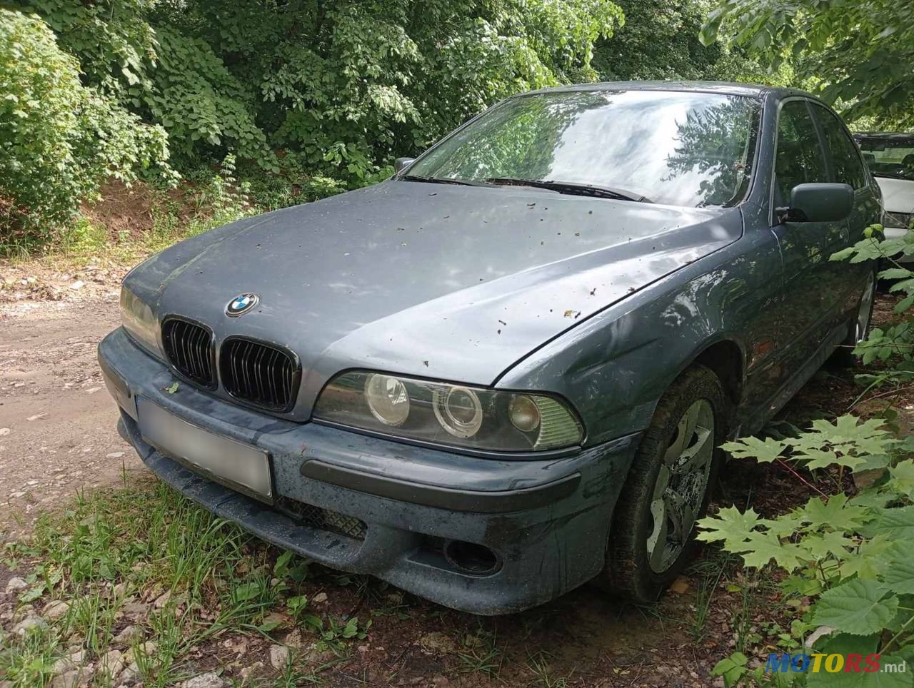 2001' BMW 5 Series photo #1