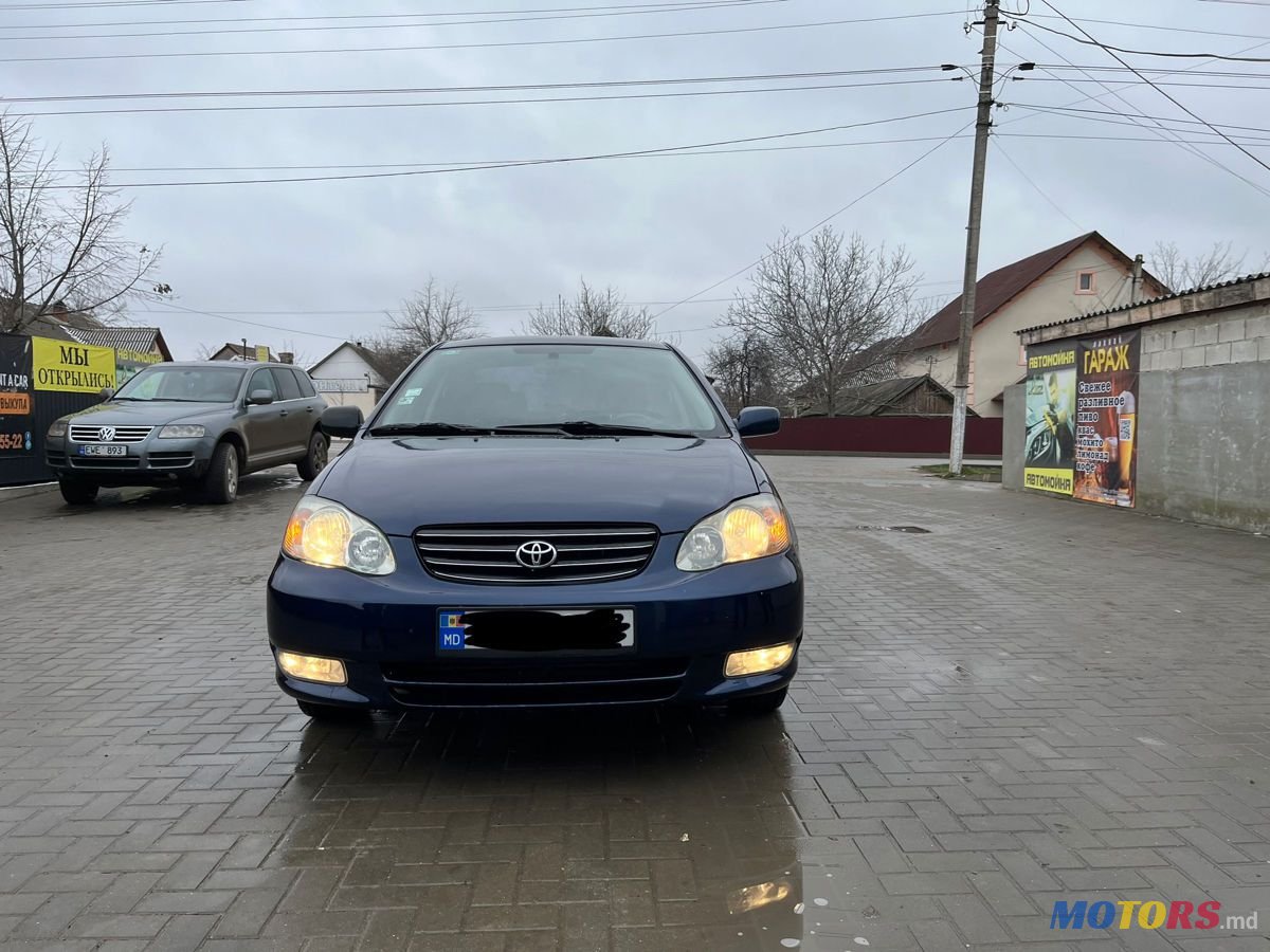 2004' Toyota Corolla photo #1