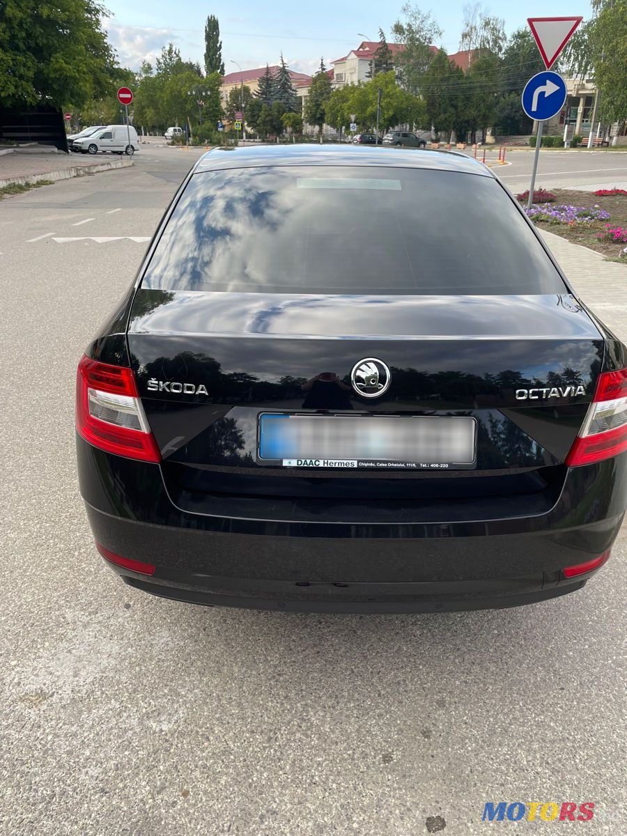 2018' Skoda Octavia photo #2