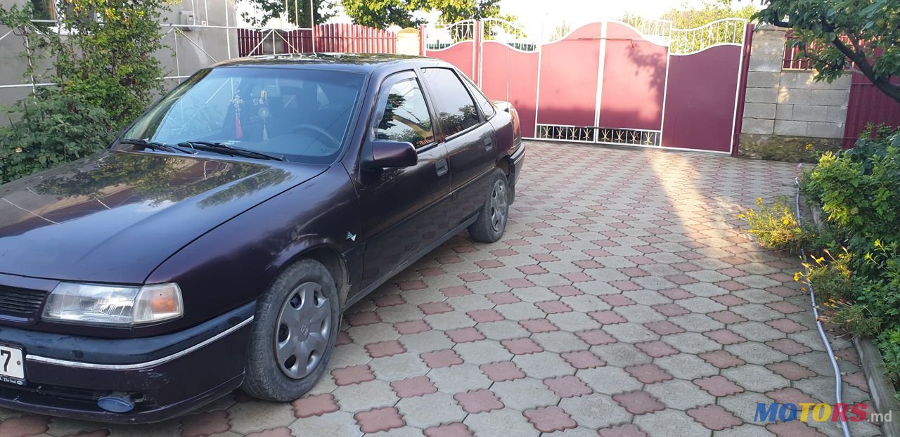 1995' Opel Vectra photo #3