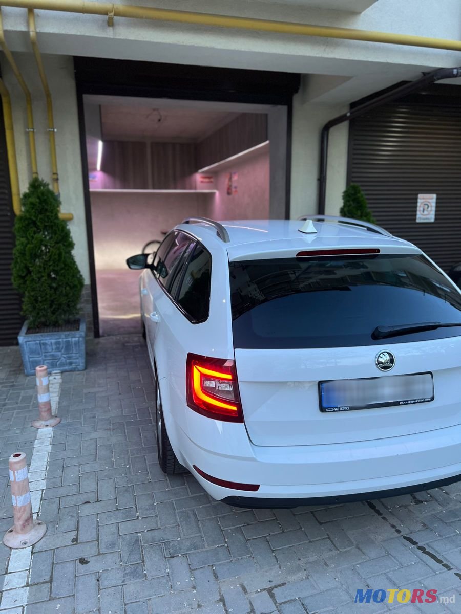 2017' Skoda Octavia photo #5