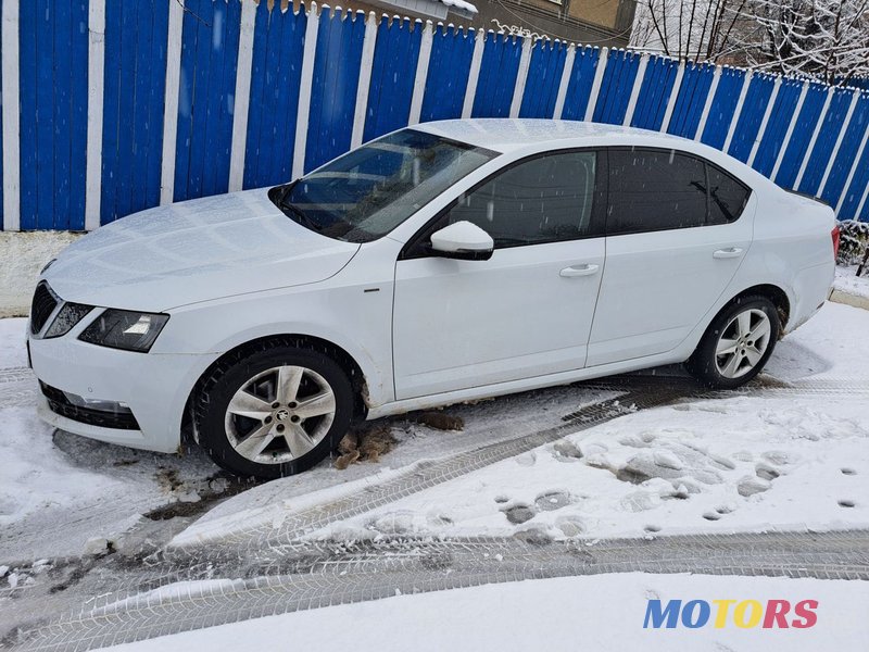 2019' Skoda Octavia photo #5