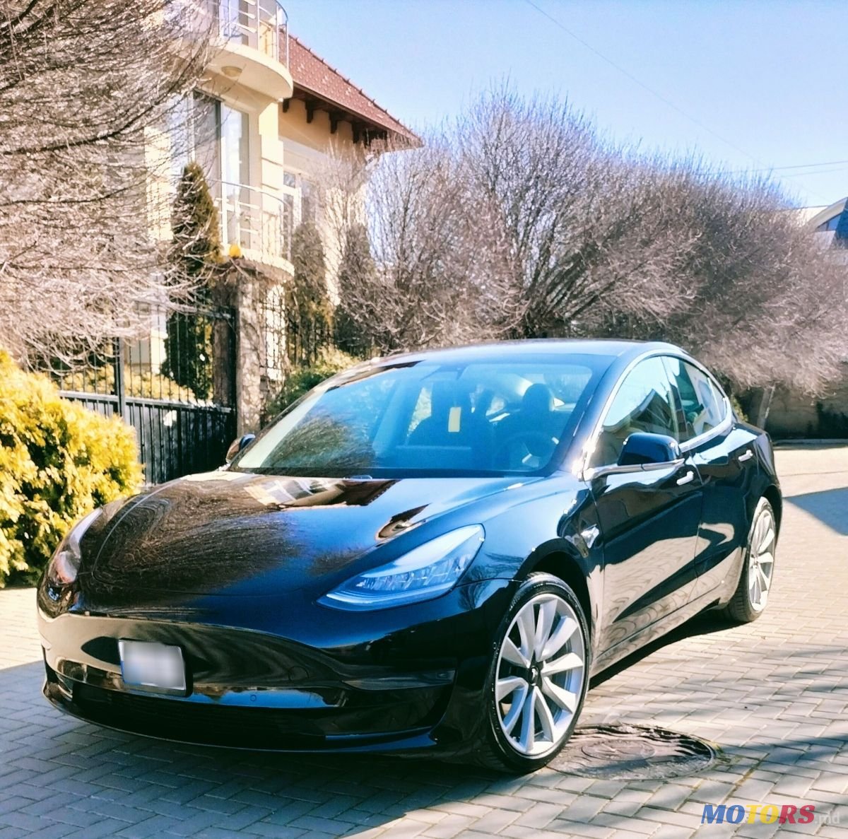 2019' Tesla Model 3 photo #1