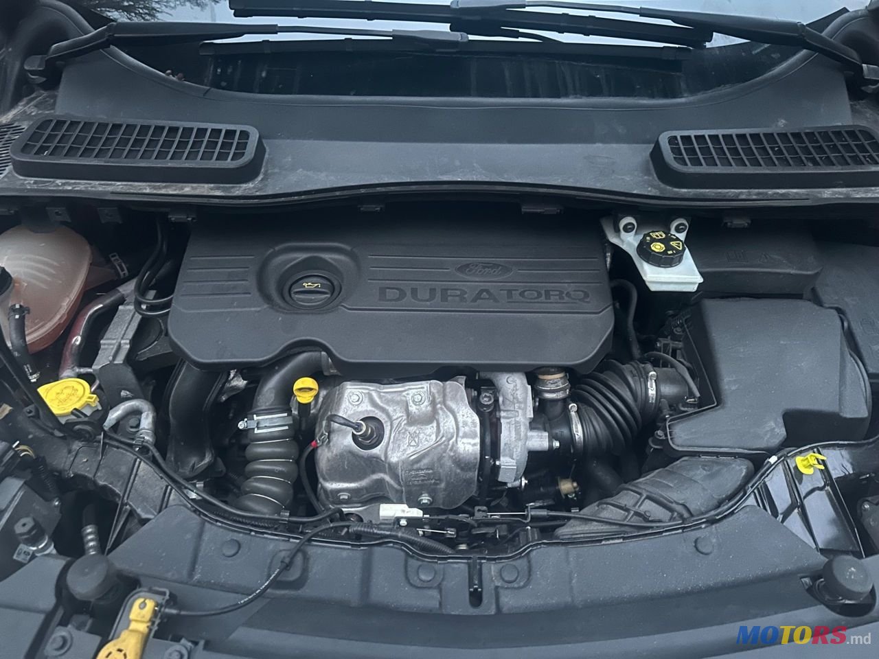2018' Ford Kuga photo #5
