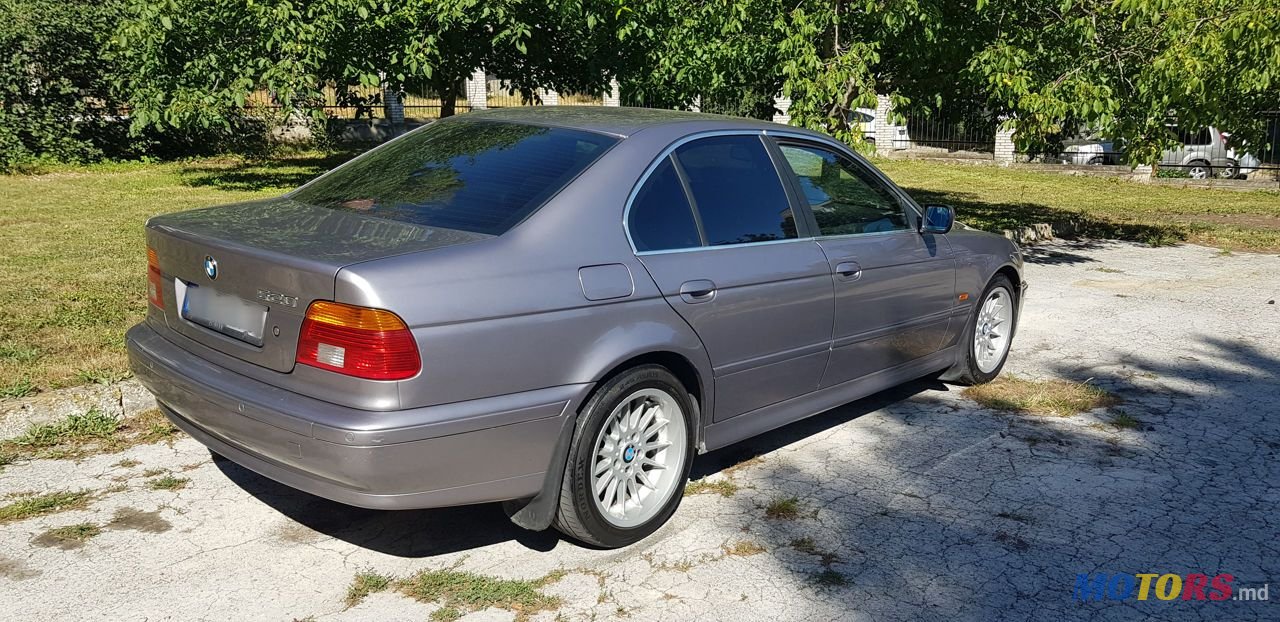 2001' BMW 5 Series photo #6