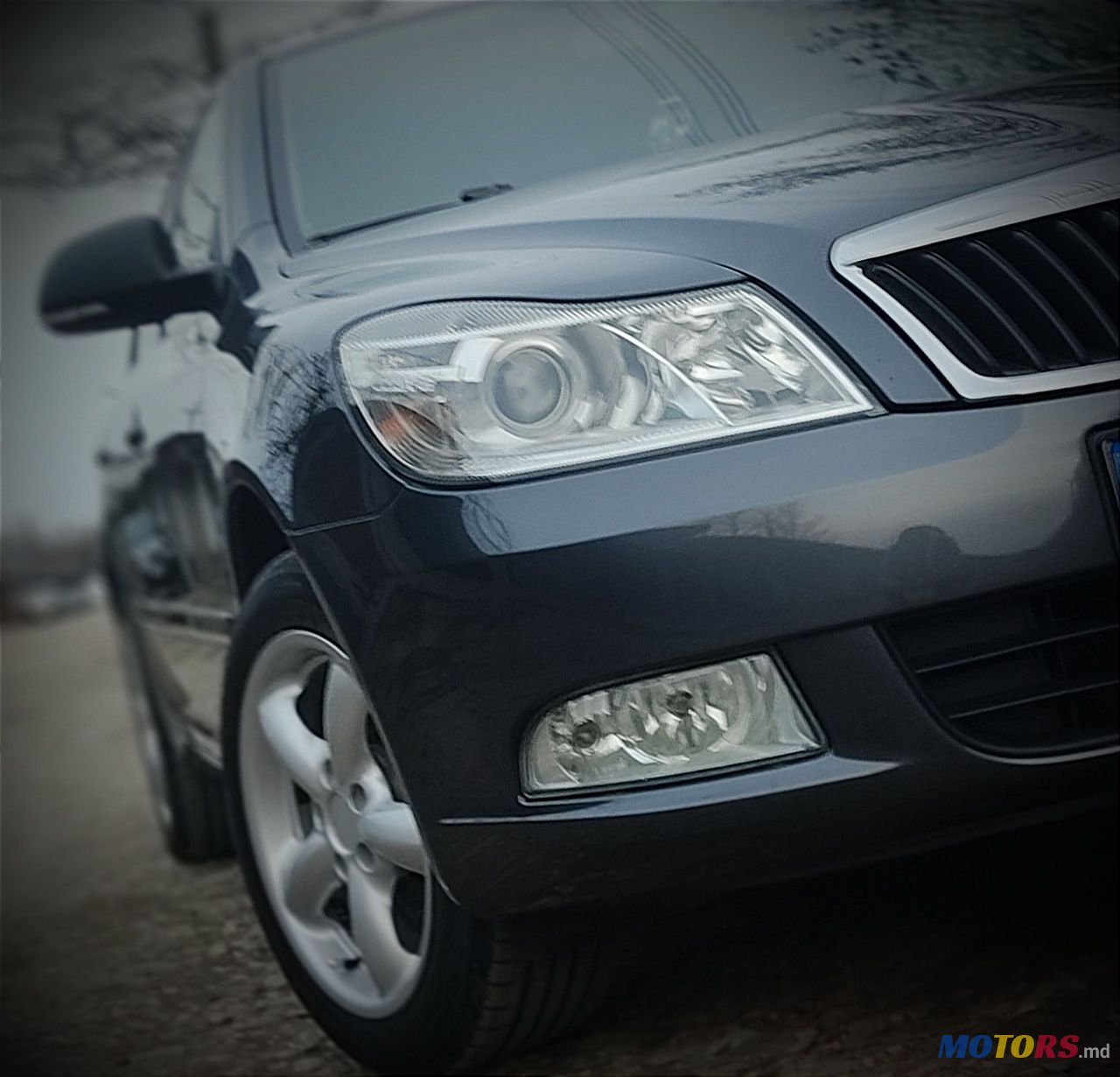 2011' Skoda Octavia photo #1