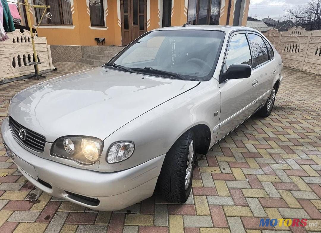 2001' Toyota Corolla photo #3