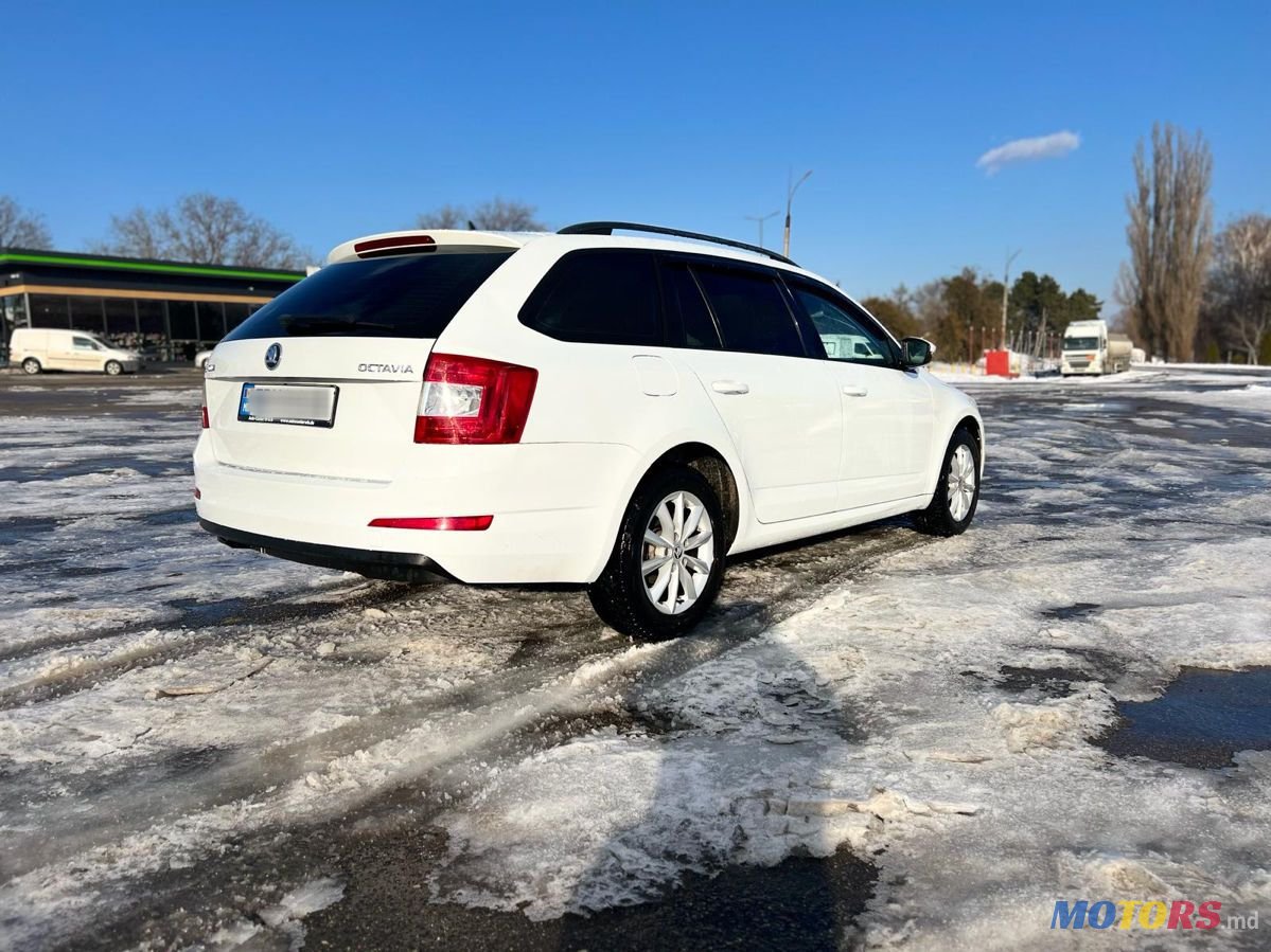 2014' Skoda Octavia photo #4