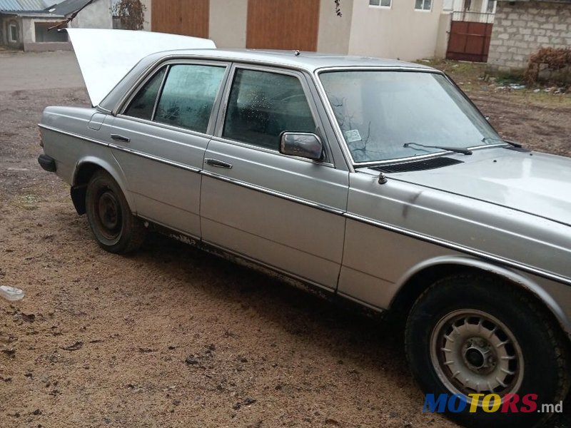 1981' Mercedes-Benz W123 photo #1