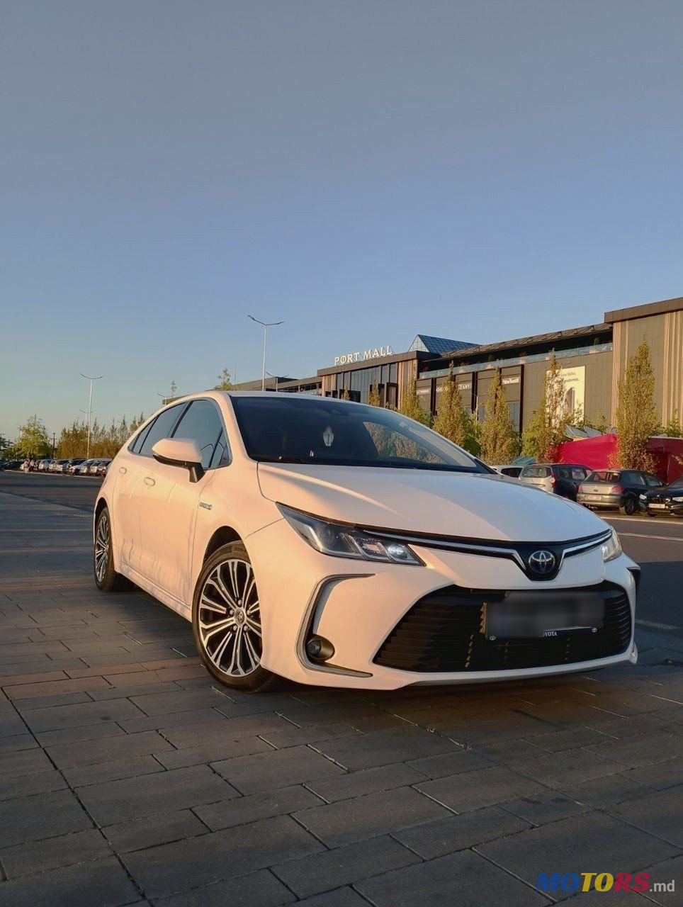 2019' Toyota Corolla photo #3