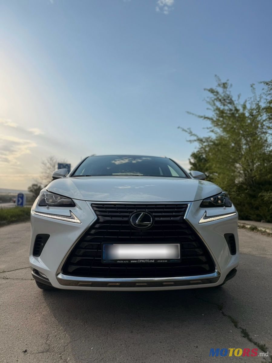 2020' Lexus Nx Series photo #3