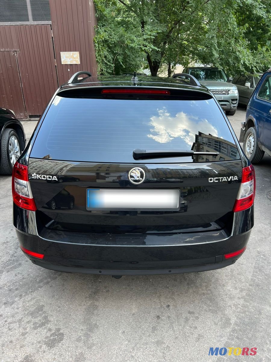 2019' Skoda Octavia photo #2