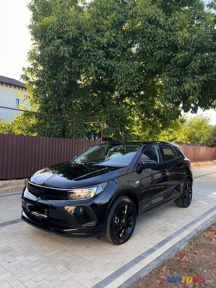 2024' Opel Grandland X photo #1