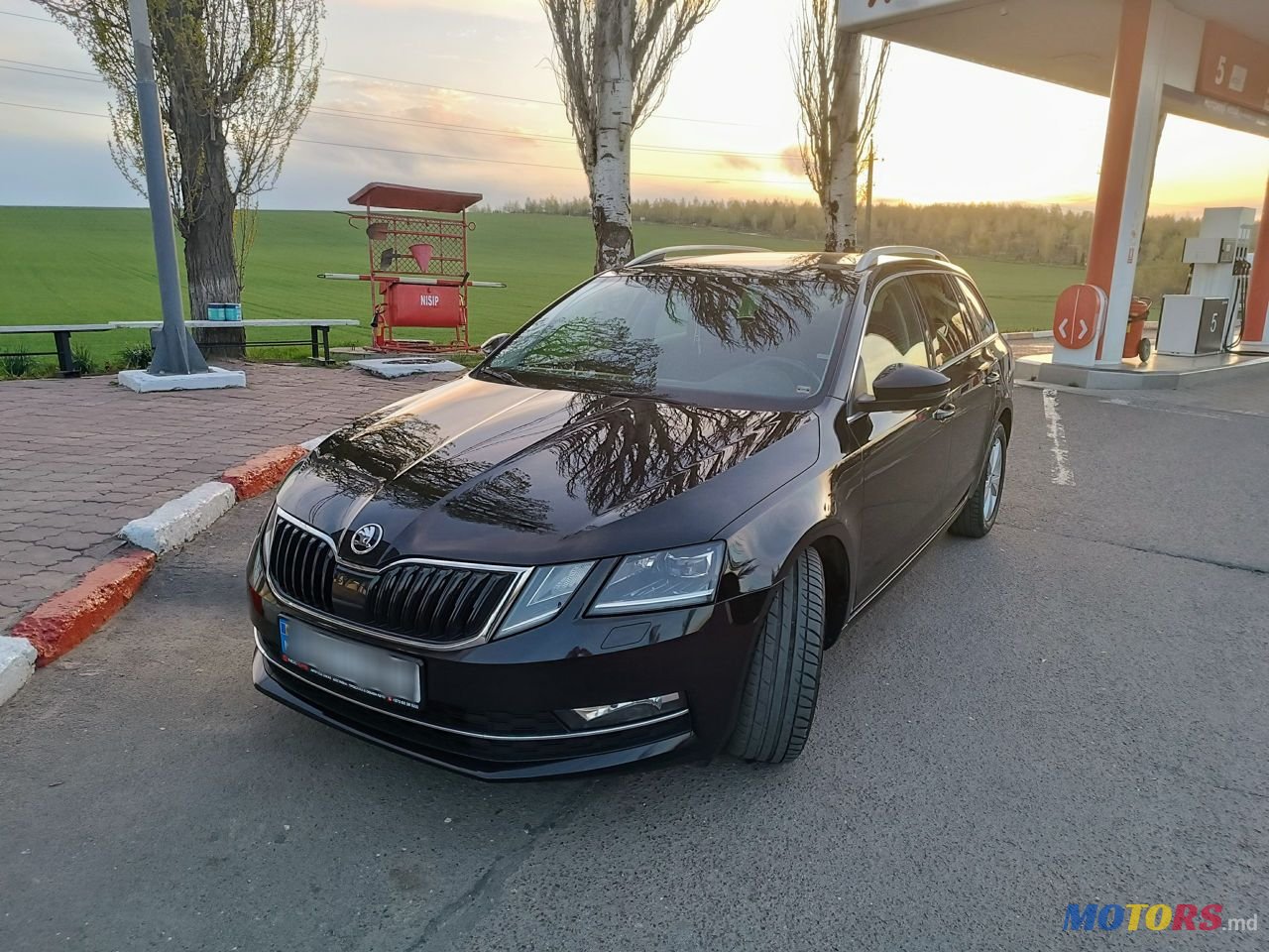 2019' Skoda Octavia photo #2