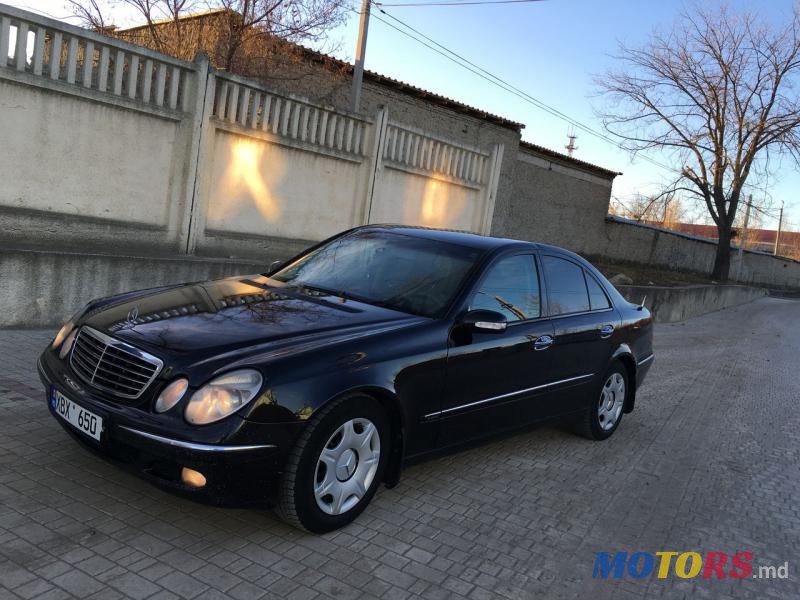 2004' Mercedes-Benz E-Class photo #3