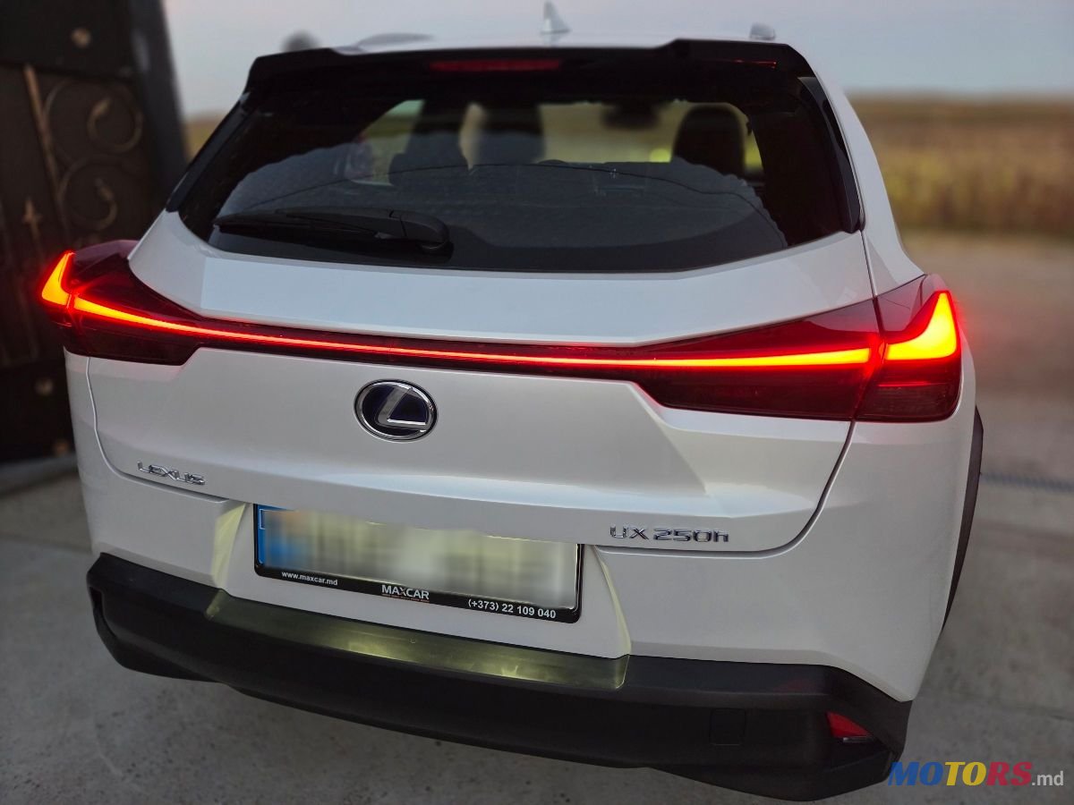 2020' Lexus UX photo #2