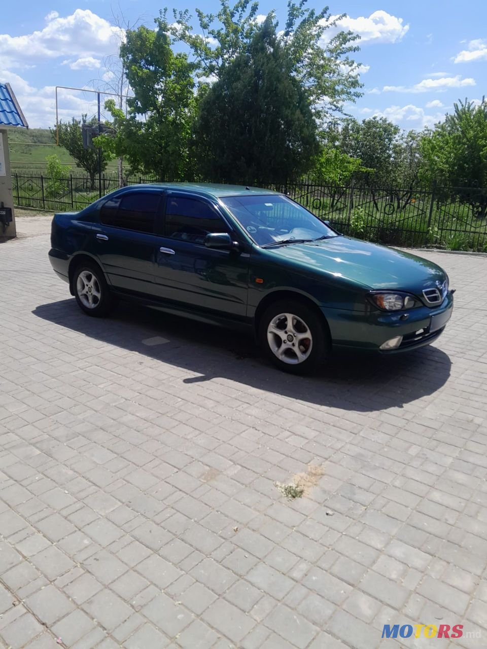 2001' Nissan Primera photo #2