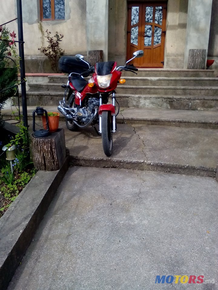 2012' Viper photo #5