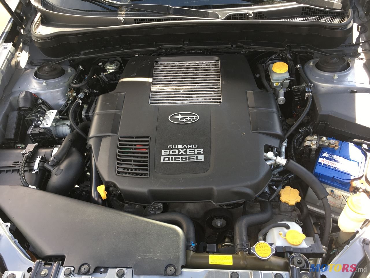 2010' Subaru Forester рестайлинг photo #7