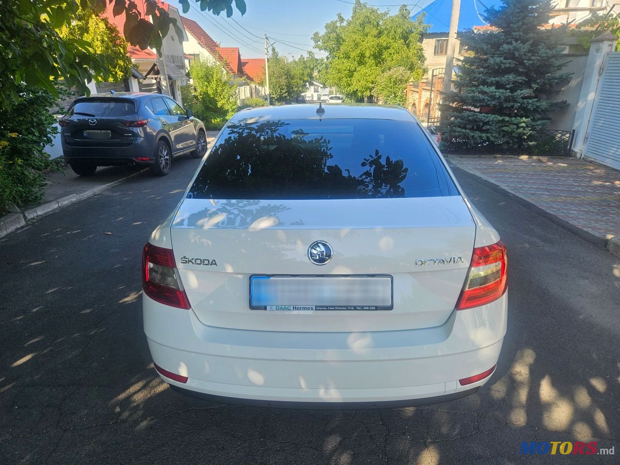 2018' Skoda Octavia photo #6