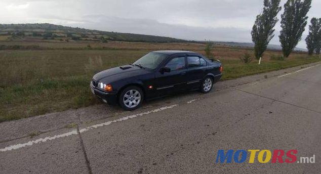 1995' BMW 3 photo #1