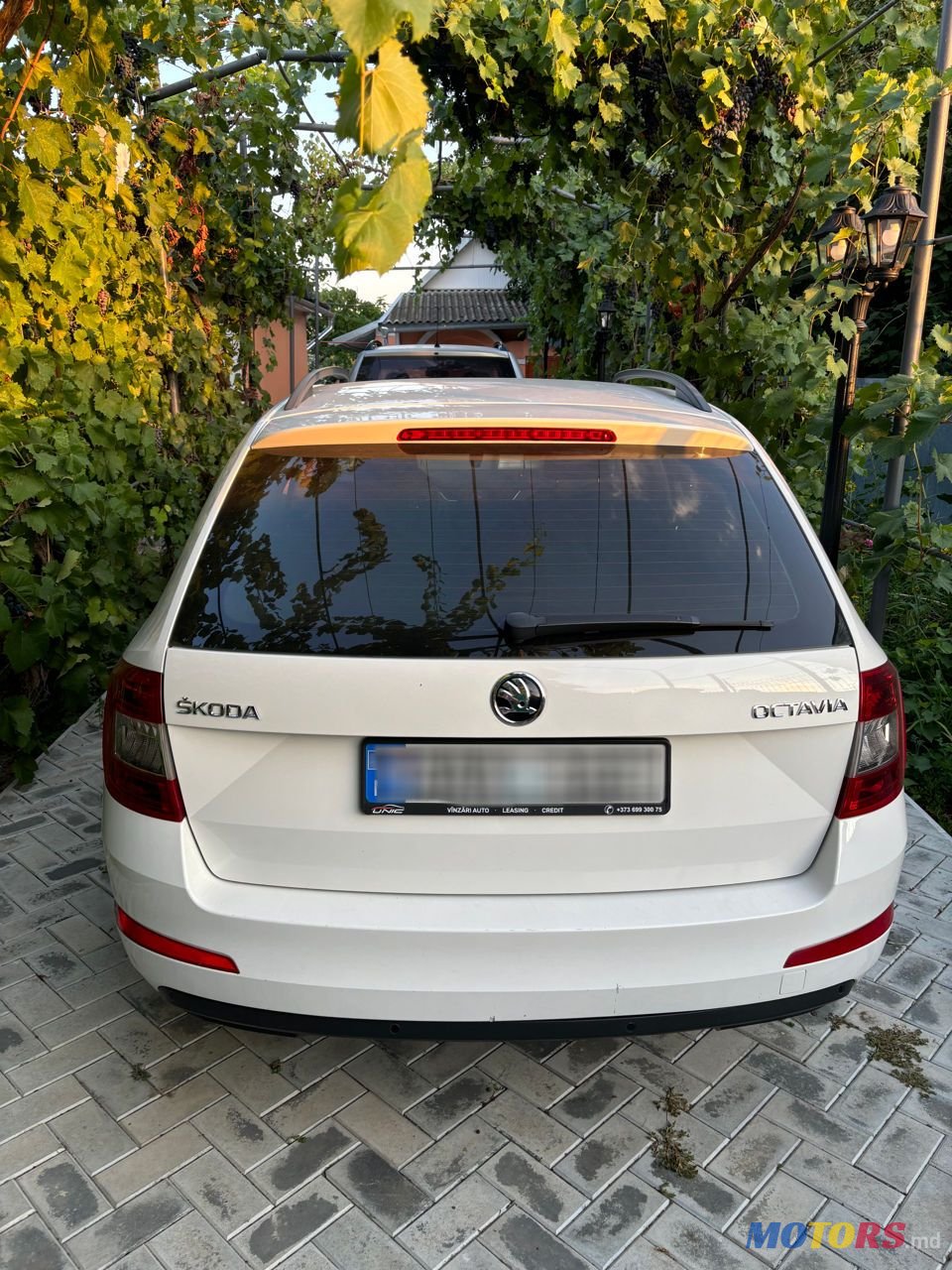 2015' Skoda Octavia photo #6
