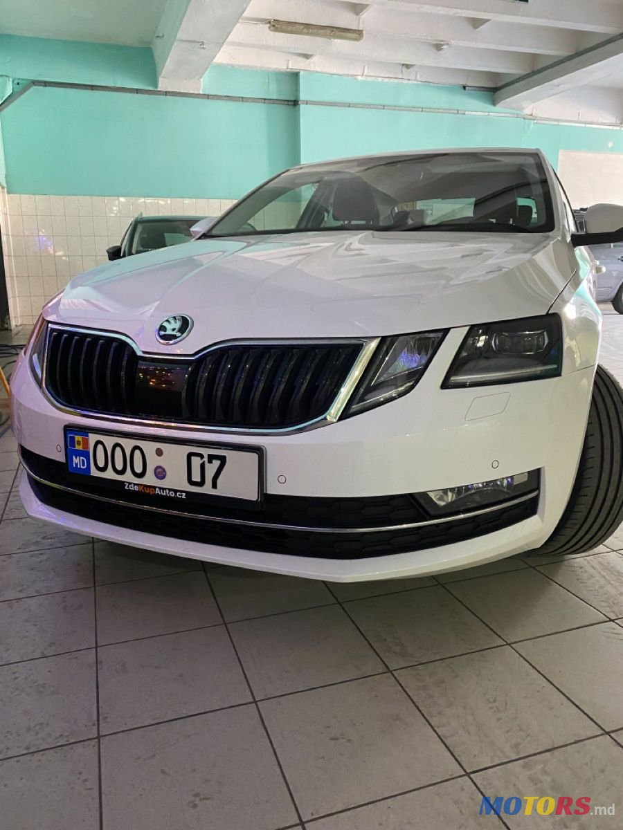 2018' Skoda Octavia photo #2