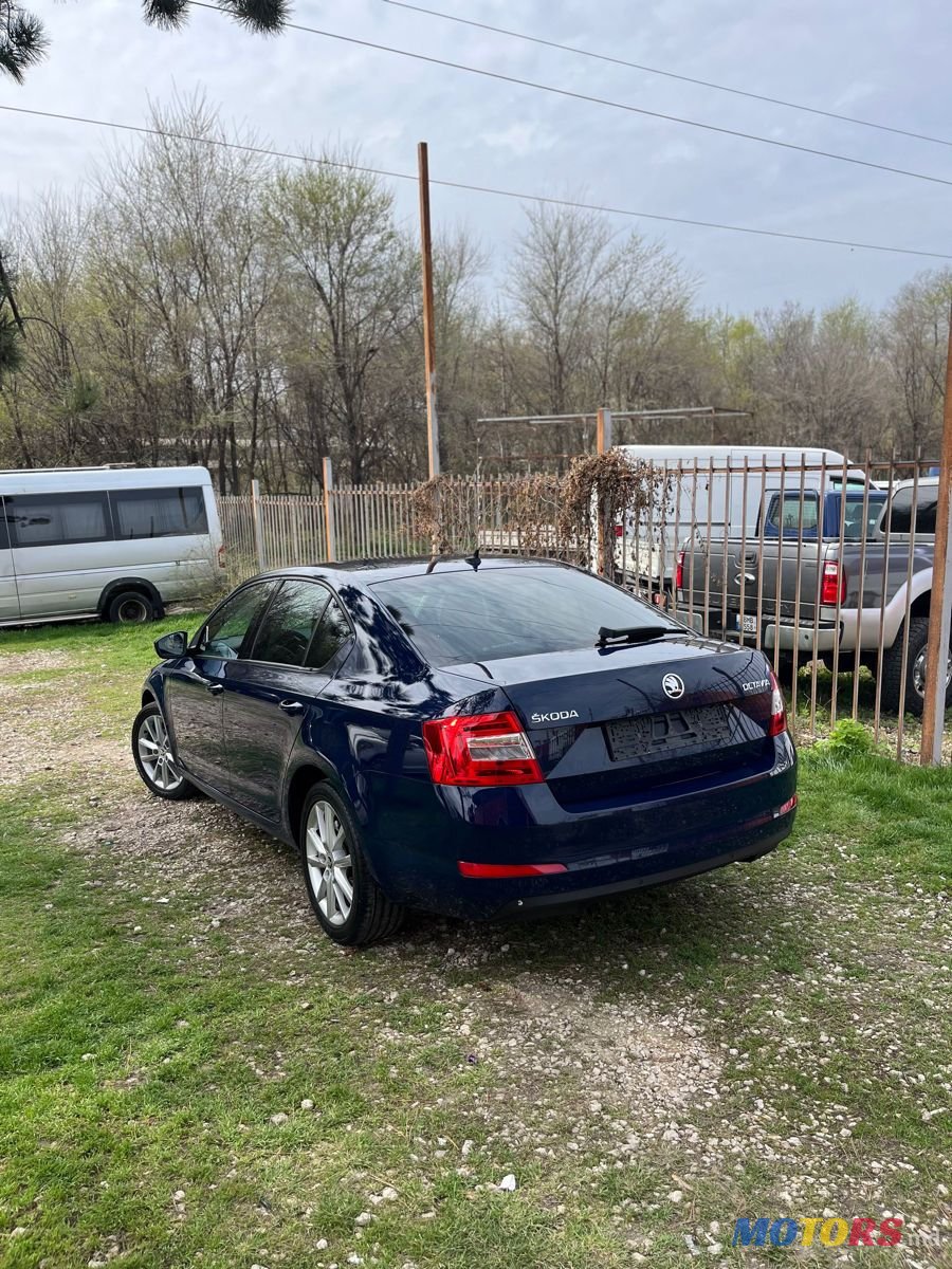 2015' Skoda Octavia photo #5