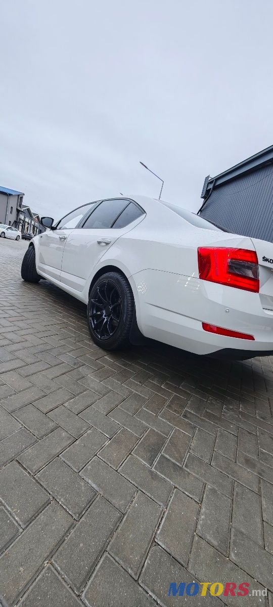 2014' Skoda Octavia photo #4