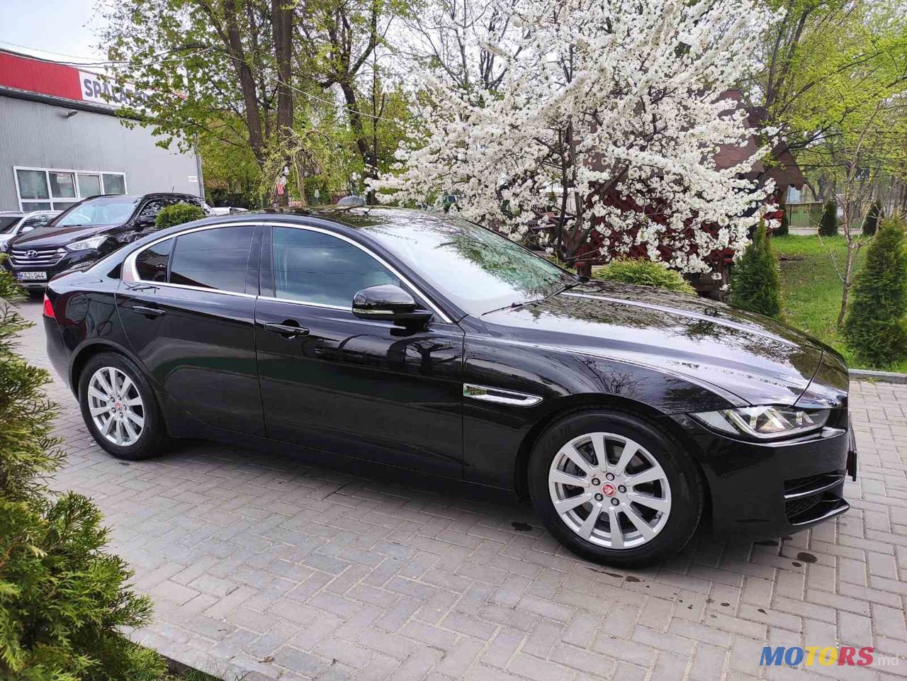 2015' Jaguar Xe photo #3