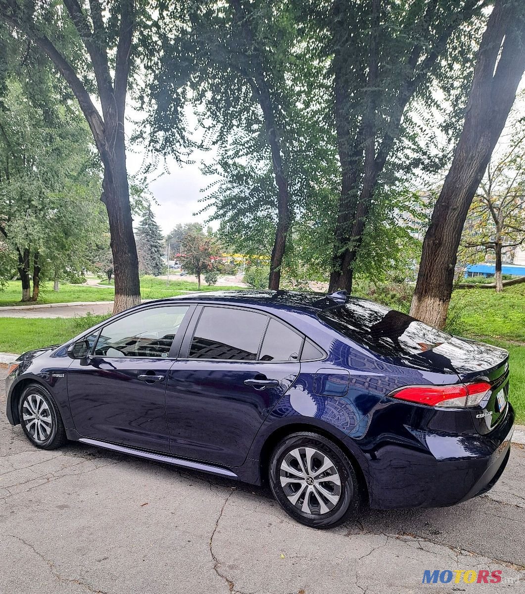 2020' Toyota Corolla photo #4