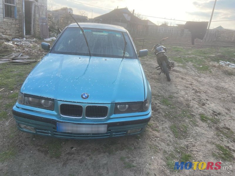 1995' BMW 3 Series photo #5
