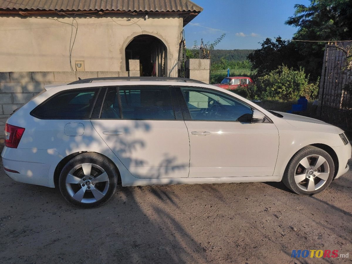 2017' Skoda Octavia photo #6