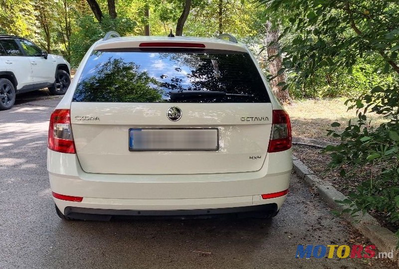 2019' Skoda Octavia photo #4