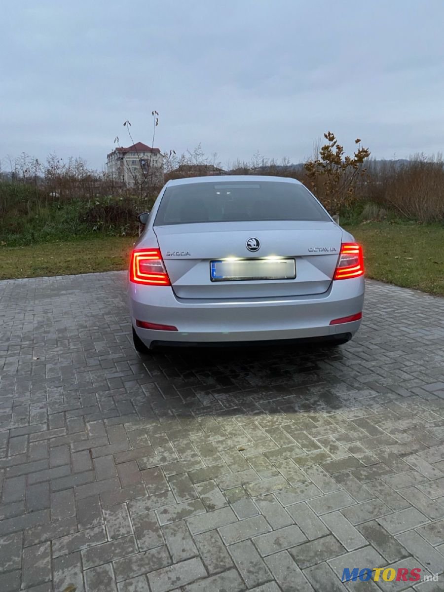 2013' Skoda Octavia photo #5