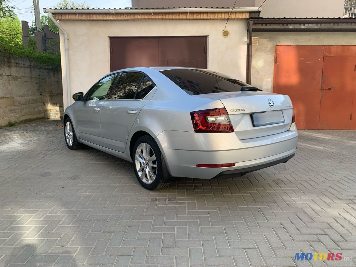 2017' Skoda Octavia photo #5