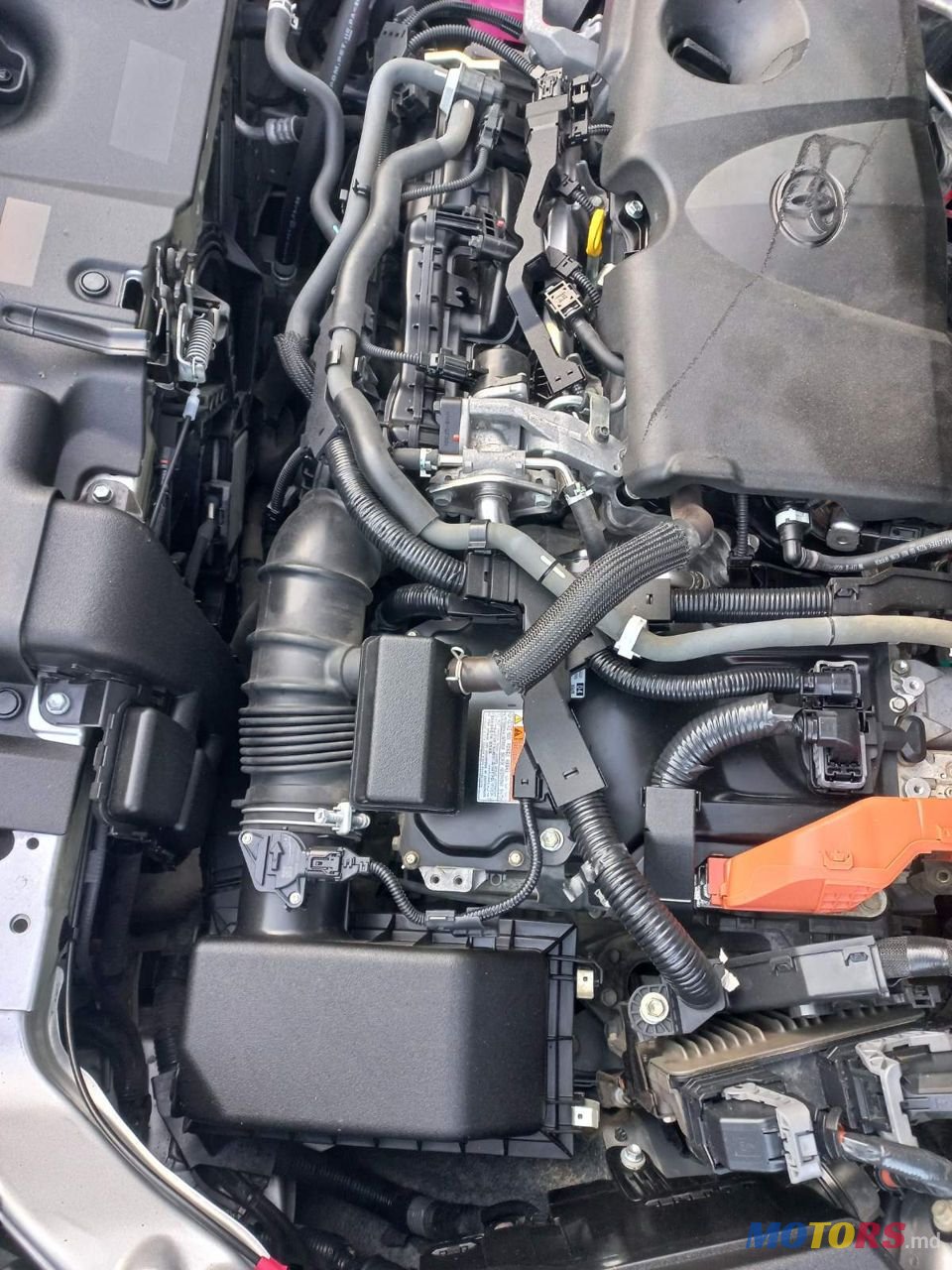 2020' Toyota RAV4 photo #3