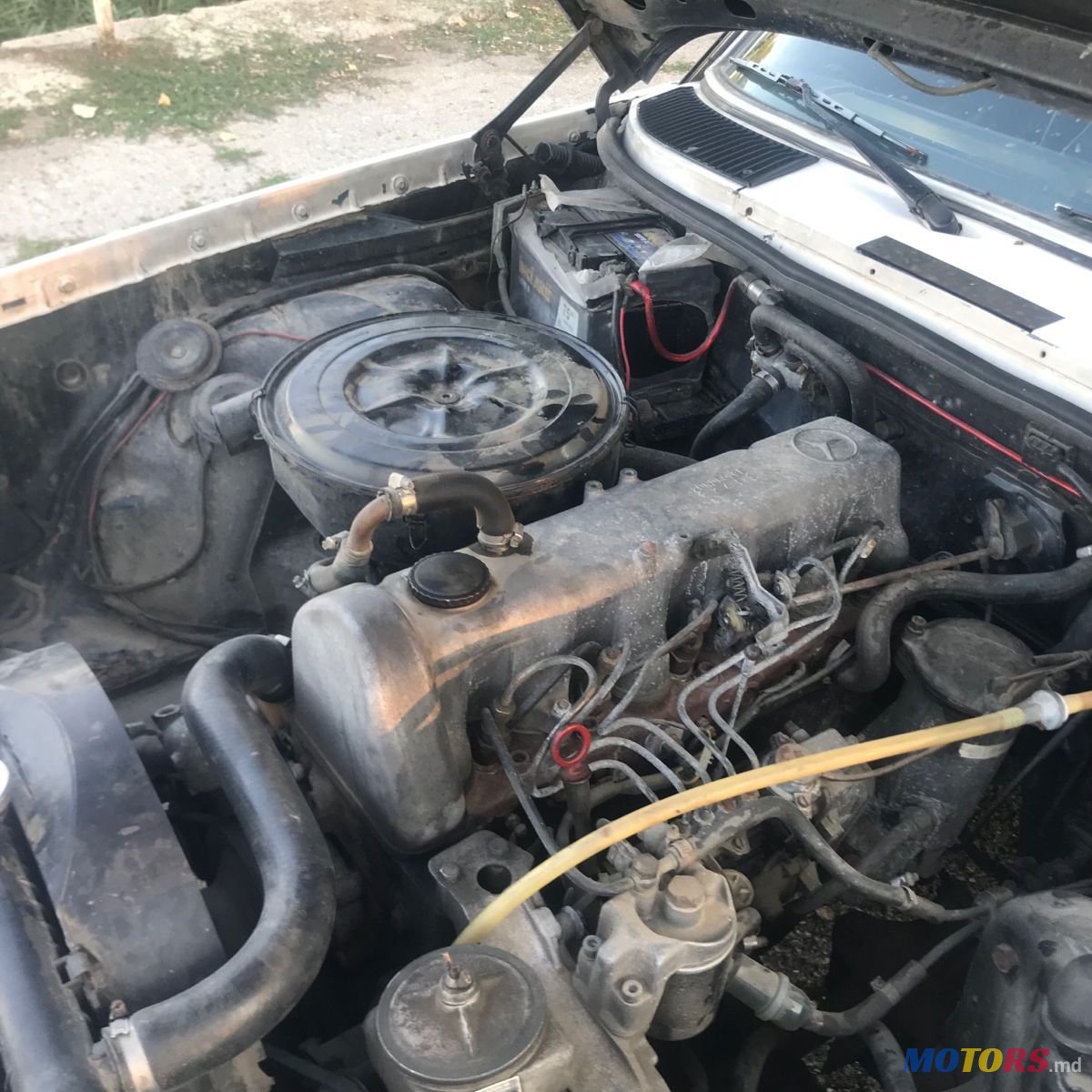 1982' Mercedes-Benz W123 photo #5