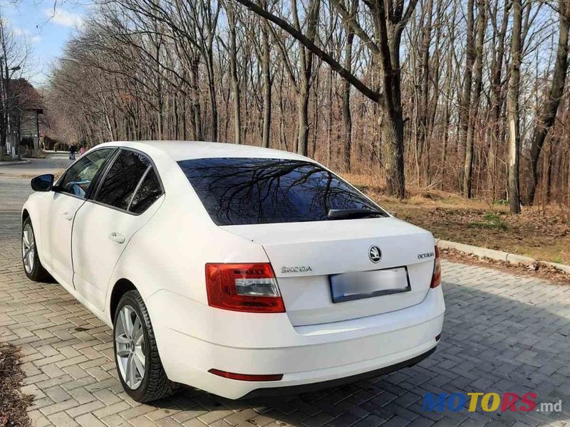 2019' Skoda Octavia photo #5