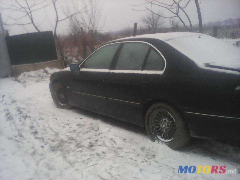 1996' BMW 5 Series photo #2