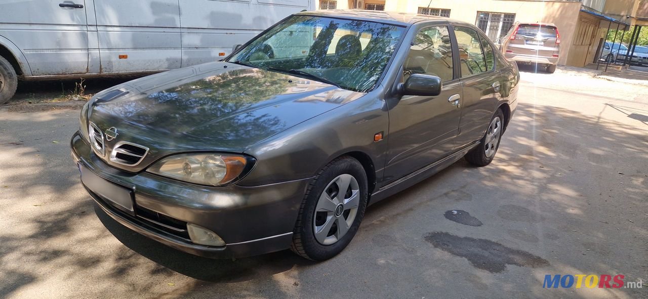 2001' Nissan Primera photo #2