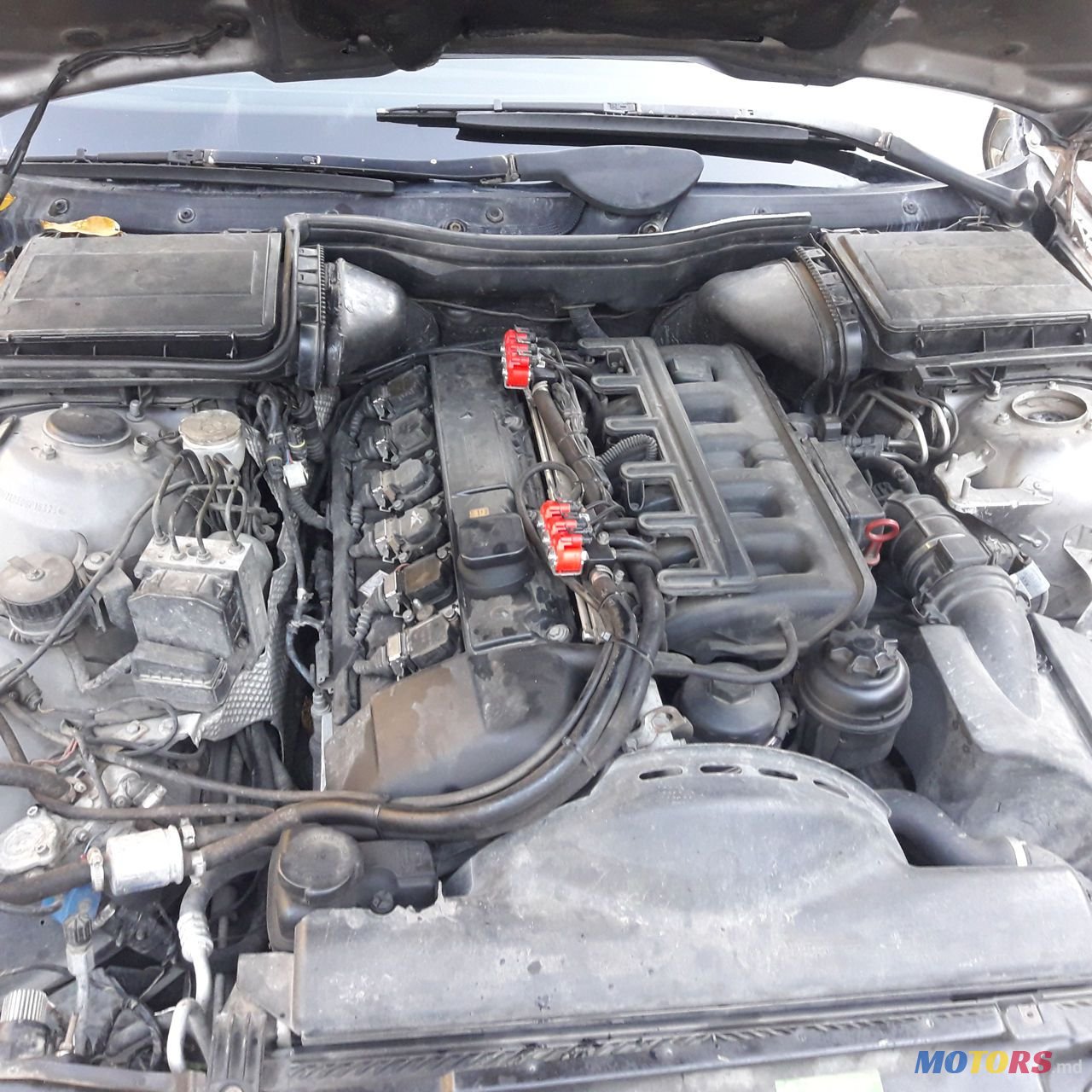 1999' BMW 5 Series photo #3