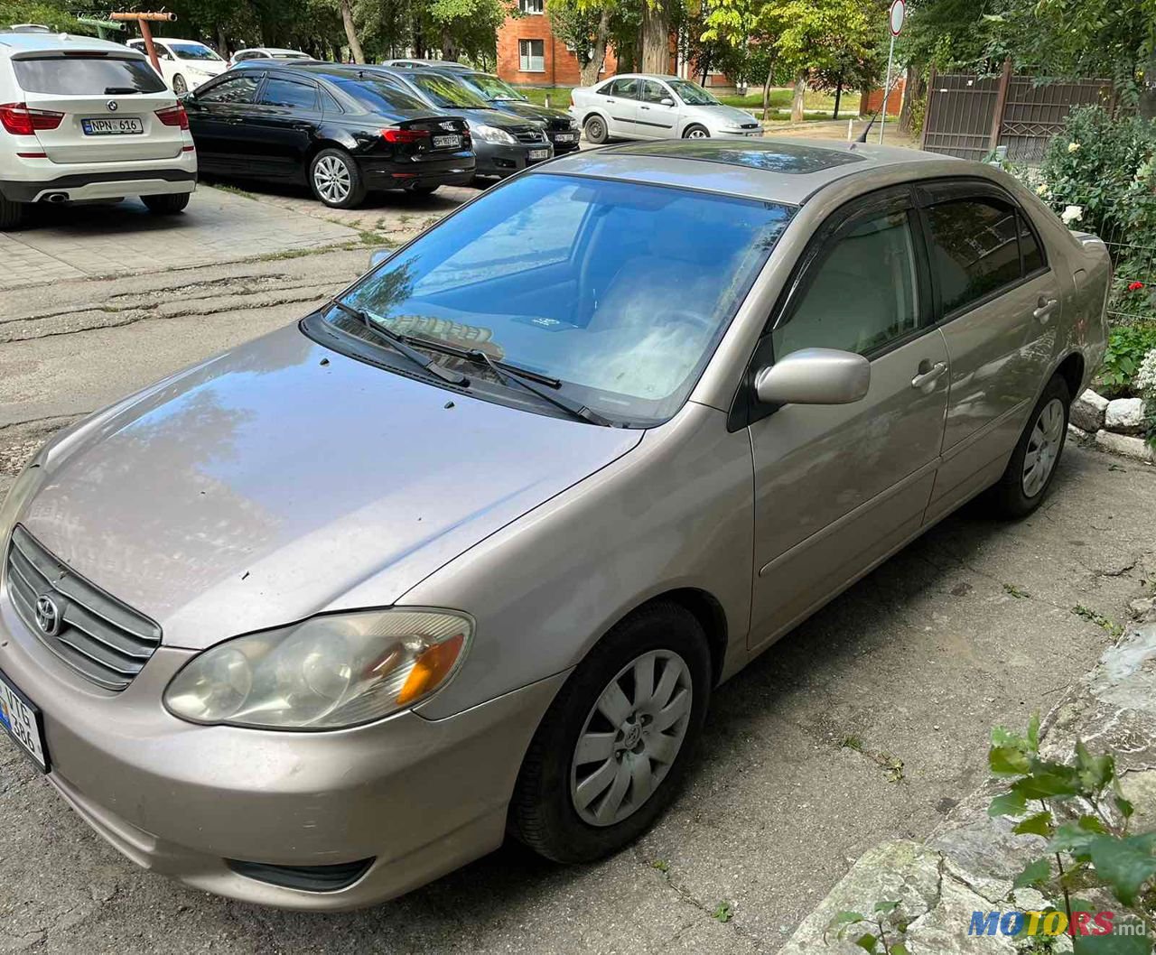 2003' Toyota Corolla photo #1