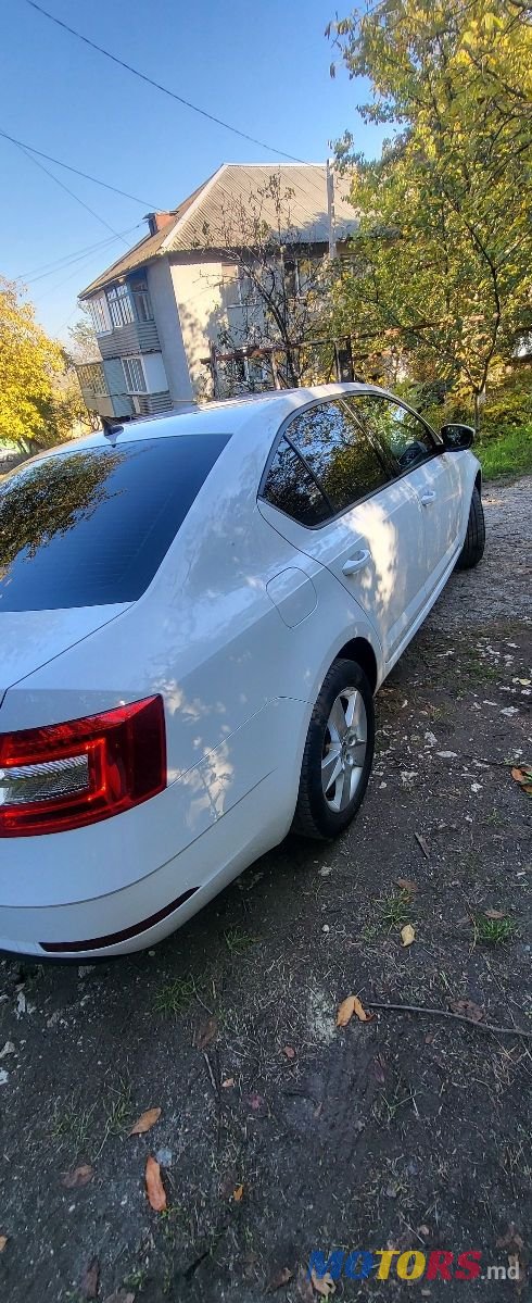 2019' Skoda Octavia photo #3