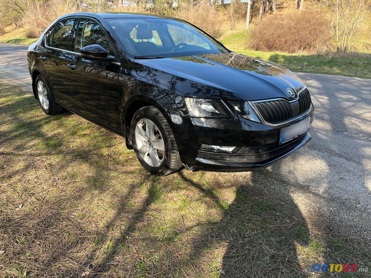 2017' Skoda Octavia photo #6