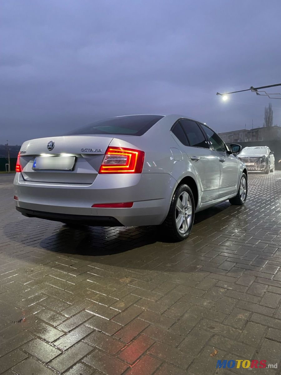 2013' Skoda Octavia photo #4